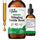 Wild & Organic Stinging Nettle Root Drops - Stinging Nettle Extract Tincture for Men & Women - Liquid Urtica Dioica Supplement - Vegan, Sugar & Alcohol- Free - 2 fl oz