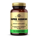 Solgar Super Ginkgo, 120 Kapsułki roślinne - Full Potency (FP) - Przeciwutleniacz i system nerwowy Wsparcie - Zdrowie mózgu - Non-GMO, Wegan, Gluten Free, Dairy Free, Kosher - 120 Sługi