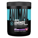 Animal Juiced Amino Acids - BCAA Proszek EAA Matrix Plus Hydration z elektrolitami i soli morskiej w każdej chwili odzyskiwania i poprawy wydajności, Grape Flavor, 30 Służenia