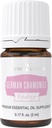 Młode życie - Niemiecki Rumianek Witalność 5 ml Bilans 124; Przeciwutleniacz & Natural Calmness Support Bilans 124; Suplement diety Bilans 124; Aromaterapia uspokajająca 124; Starożytny Herbal Remedy Relaxation