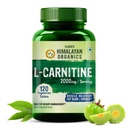 Himalajski Organics L- Carnitine L- Tartrate z Green Tea Extract 2000 Mg Size 124; Zdrowe zarządzanie wagą 124; Wsparcie Odzyskiwania Mięśnie, Energię Boost, Wytrzymałość i spalanie tłuszczu -120 Tabletki wegetariańskie