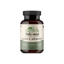 TERRA ORIGIN Healthy Mind and Memory Supplement Supplement Amend124; Cognitive Memory Matrix Amend124; Nootropic CDP, Bacopa, L- Tyrosine, Huperzine A, Ginko, B12 Amend124; Non GMO, Gluten Free, Dairy Free Amend124; 30 Kapsułki