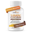 Kapsułki z kurkuminy organicznej i imbirowej - kurkumina kurkuminowa z Ginger & BioPerine, 95% kurkuminoidy - Joint, trawienie, Immunitet Support, ekstrakt Black Pepper dla zwiększonej absorpcji