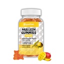 Mullein Gummies, 2000mg Organic Mullein Leaf Extract z Quercetin, Bromelain & Witamina D3, Mullein Leaf Extract dla układu oddechowego, Natural Lung Cleanse, Improve Appetite, Vegan, Non-GMO, 1 Pack