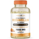 Boswellia Serrata Extract Joint Support Supplement by Powered by Plants - 65% Wysokiej mocy Boswellic Acids with BioPerine - Pomaga odporność, Mobilność i Elastyczność - 120 Vegan kapsułki