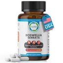 Boswellia Serrata 600mg 65 Boswellic Acid Extract wspiera wspólny komfort, elastyczność i mobilność Naturalny Herbal Wellness Supplement Vegan, Non-GMO, Gluten- Free 90 Kapsułki Veg.