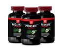 Saw Palmetto for Prostate Support - Prostate Support - Pygeum and Prostate Wellness, Red Raspberry for Support, Graviola Leaf for Prostate Health, Green Tea for Men’s Wellness 3 Bottles 180 Capsules