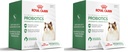 Royal Canin Probiotics for Cats Digestive and Immune Health Powder Supplement for Cats of All Ages, 30 Count (Pack of 2)