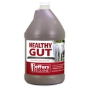 Jeffers Equine Healthy Gut Gastric Support – Liquid Digestive Supplement for Horses Prone to Ulcers – Easy to Feed Formula, Supports Gut Comfort & Digestive Balance – 1 Gallon (128 Day Supply)