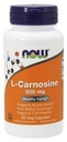 Teraz żywności Suplementy, L- Carnosine (Beta- Alanyl- L- Histydyna) 500 mg, Zdrowe Starsze, 50 Kapsułki Veg