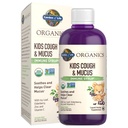 Ogród organizacji życia Elderberry & Cynk dla dzieci wsparcia immunologicznego, Kaszel dla dzieci i Mucus immunologiczny Syrop z Ivy Leaf, Witamina C i Echinacea dla dzieci, Alkohol - Bez, Nie Dodano Cugary, 3.92 fl oz