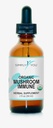 Organiczny Grzyb Immune Defense Support 124; Kompleksowy System Odporności Suplement 2fl oz / 59ml Krople z maksymalną absorpcją & Biodostępność 124; Wegan, Herbal 525mg na serwowanie ● 2 Miesiące dostaw