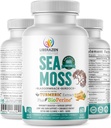 Organic Irish Sea Moss Pills - Wildcrafted Dr Sebi Inspired Seamoss Mieszanka z Turmeric, Burdock Root & Bladderwrack, Wzmocnione z Black Pepper - 60 Kapsułki