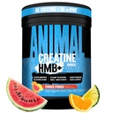 Animal Creatine Monohydrate HMB+ for Men & Women | Power Punch 30 Servings