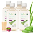 AloeCure USDA Organic Aloe Vera Sok Grape Flavor, Made In 12 Hours of Harvest - Pure Aloe Vera Digestive & Immune Health Supplement, Pomaga utrzymać zrównoważoną kwasowość żołądka, 16.7oz x 4 Btls