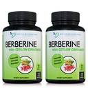 Berberine z Ceylon Cynamon - 1200mg Berberine & 100mg Organic Ceylon Cynamon - 120 Kapsułek wegetariańskich, Zdrowy system immunologiczny Serce sercowo-naczyniowe i Wellness żołądka i jelit (opakowanie 2)