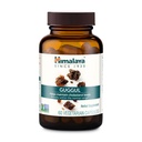 Himalaya Guggul Extract- Herbal Guggul Supplements Liver Support for Liver Detox, Cholesterol, HDL & LDL Support - Vegan, Non-GMO, Gluten Free, 720 mg, 60 Capsules