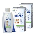 Hübner Original Silicea Gel 17 fl oz / 500 ml, 2 Pack, for Hair, Skin, Nails, and Connective Tissue, Pure Colloidal Silica Gel Formula, No Additives or Preservatives