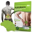 FlexiBack Warming Herbal Back Pain Patches with 12-Hour Extra Strength & Adhesion - Bone-on-Bone, Spinal Joint Inflammation & Muscle Strain Support - 12 Heat Patches for Lower Back Pain Relief