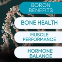 Boron Mineral Supplement - 30mg | 60 Count | Trace Minerals Your Body Needs to Maintain Optimal Health and Wellness.