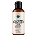 AMANDEAN Liposomal Glutathione Supplement. Liquid Reduced Setria 500 mg. Wsparcie immunologiczne, Zdrowie mózgu, Detox wątroby, Zdrowie skóry. Fosfatydylocholina z Lecytyny Słonecznej Non-GMO. Soy- Free & Vegan.