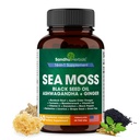 SANDHUHERBALS Sea Moss Kapsułki z Black Seed Oil Ashwagandha Ginger Burdock Root 124; Zaawansowane Seamoss 60 Hrabia 124; Wszyscy mężczyźni Wiek kobiet