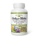 HerbalFactors by Natural Factors, Ginkgo Biloba, Wspomaga Pamięć, Wydajność psychiczna i Zdrowy Mózg Funkcje, 60 kapsułek (60 porcji)