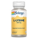 SOLARAY L Lysine 500 mg kapsułki - Free- Form Esential Amino Acids Supplement - Potężne wsparcie Wellness z L- Lysine Amino Acid - Laboratorium zweryfikowane, 60- Day Guarantee, 60 Służb, 60 VegCaps