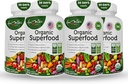 Organic Superfood Greens Fruits and Vegegies Complex - Najlepszy suplement diety z 14 Zielonych i 14 Owoce i warzywa z Alfa & Przeciwutleniacz Składniki organiczne Non-GMO 240 Kapsułki