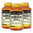MASON NATURAL Whole Herb Ginger 500 mg, 6 miesięcy dostaw, Natural Herbal Supplement, 60 kapsułek (3 opakowania)