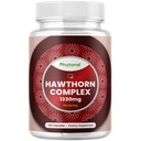Wysoka wytrzymałość Hawthorn Berry Kapsułki - Czysty przeciwutleniacz Hawthorn Berry Suplement z liści i kwiatów Ekstrakt 4: 1 dla Heart Health & Trawienie - Wsparcie energetyczne dla mężczyzn i kobiet - 120 Count Pack