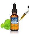 Herb Pharm Organic Nootropic Brain & Memory Supplement with Ginkgo Biloba Liquid Extract: Szybka absorpcja dla Mental Focus Support, Ginkgo Supplement, Wegan, Gluten- Free, Non-GMO, 1 Oz