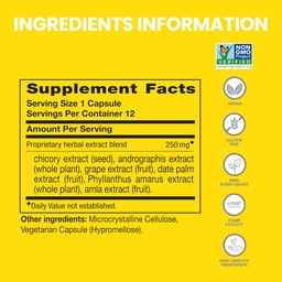 Himalaya PartySmart, 12 Capsule Tube - Alcohol Breakdown Liver Support for a Better Morning After Drinking - Plant Based, Wegan, Non-GMO, Gluten Free, Klinicznie badane (Opakowanie 2)