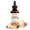 Maxx Herb Astragalus Root Extract - Max Siła Płynna nalewka Absorbuje lepiej niż kapsułki lub proszek, dla immunologicznego wsparcia i mentalnej klarowności - 4 Oz Butelka (60 Servings)