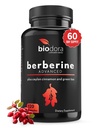 Berberine Advanced Plus z 1200mg Berberine - 100mg Ceylon Cynamon i 100mg Green Tea Extract - 1400mg na dawkę - 120 kapsułek - 60 Day Supply - Wspiera immunologiczne i sercowo- naczyniowe