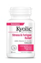 Kyolic Aged Garlic Extract Formula 101, Stres i Zmęczenie Relief, 100 Tabletki.
