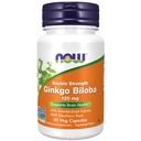 Teraz żywności Suplementy, Ginkgo Biloba 120 mg, podwójna siła, NieGMO Projekt zweryfikowany, 50 Kapsułki Veg