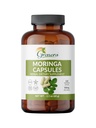 Organic Moringa kapsułki - 120 Hrabia 124; Czysty Moringa Oleifera Liść proszkowy pigułki 124; Natural Superfood Supplement Supplement 124; Herbal Energy & Antioksydant Support 124; Wegan, Non-GMO, Single Origin Malunggay