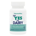 Natury Plus Powiedz tak do mleczarni - 50 Tabletki do rozgryzania i żucia - Naturalny suplement enzymatyczny do laktazy, Maksymalna moc digestive Aid, Laktoza Nietolerancja Relief - Bezglutenowy - 50 Służenia