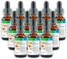 Morter Trace Minerals in Colloidal Suspension (12 Pack) Morter HealthSystem Best Process Alkaline - Nutricent Dense Trace Elements, Fulvic Minerals & Amino Acids
