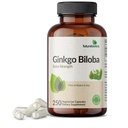 Futurebiotyki Ginkgo Biloba Dodatkowa siła Wspomaga funkcje mózgu i wsparcie pamięci, 250 Kapsułki wegetariańskie
