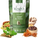 Adapt & Thrive - Energy & Stress Resilience, Organic Ashwagandha & Cordyceps Blend to Support Healthy Adrenal Function Coffee Alternative