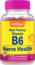 WellYeah Witamina B6 Gummies - Promotes Nerve Health, Funkcje poznawcze, Regulacja nastrojów, Wsparcie immunologiczne i zdrowie układu sercowo-naczyniowego - Wegan, Non-GMO, Gluten- Free - 60 Count