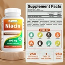 Najlepsi Naturals Niacin 500mg 250 Tabletki z zaczerwienieniem - również nazywane Witamina B3 (250 Liczba (Opakowanie po 2))