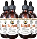 Ekstrakt płynny bezalkoholowy z brzozy, Birch (Betula Alba) Suchy krówkowy glicerol Hawaii Pharm Natural Herbal Supplement 4x4 oz
