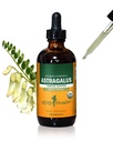 Herb Pharm Certified Organic Astragalus Liquid Extract for Immune System Support - 4 unce