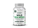 Organic Ocean Wild Sea Moss Kapsułki - 100% Organic Irish Sea Moss z Organic Chlorella, Bladderwrack i witaminy D dla energii, Lung Health i Tyroid Wsparcie dla kobiet i mężczyzn - 60 Kapsułki