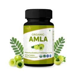ORGANIC SPREE Amla 120 Tablets - Rich in Vitamin C, Supports Immunity, Hair & Skin Wellness* - Indian Gooseberry (Phyllanthus emblica) - 60 Days Supply - USDA Organic, GMP, HACCP Certified
