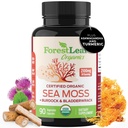 ForestLeaf Organic Irish Sea Moss Capsules | 2100mg Raw Seamoss Pills Advanced Supplement Superfood + Burdock, Bladderwrack for Digestive, Respiratory, Immune Health | 90 Vegan Organic Sea Moss Caps