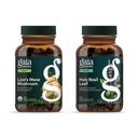 Gaja Herbs Mushroom Lwie Mane - Pomoc Utrzymanie Neurologicznego Zdrowia - 120 Vegan Płynne Phyto- Kapsułki i Święty Liść Basil - Pomaga zachować pozytywne Mindset i równowagi w czasach stresu - 120 Vegan Li